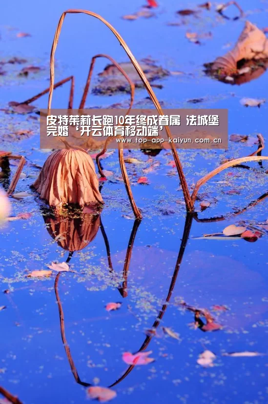 开云体育移动端
