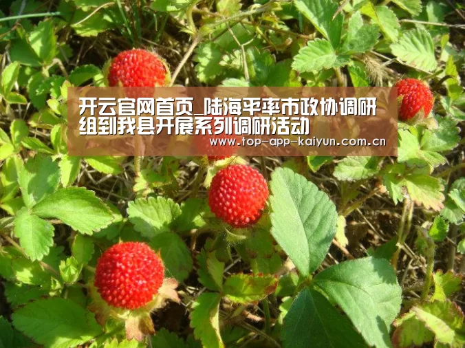 开云官网首页_陆海平率市政协调研组到我县开展系列调研活动