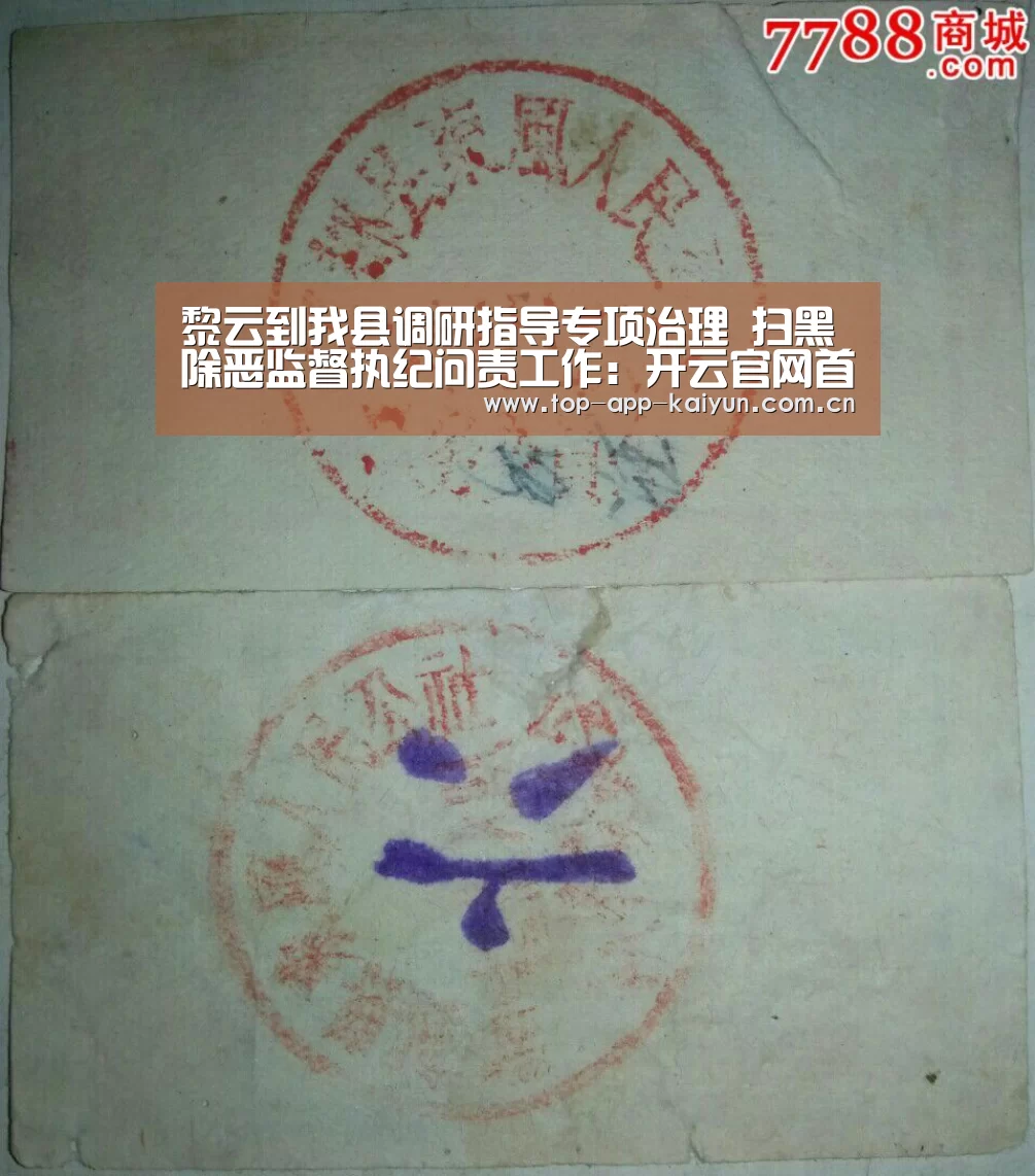 黎云到我县调研指导专项治理 扫黑除恶监督执纪问责工作：开云官网首页