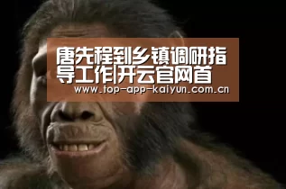唐先程到乡镇调研指导工作|开云官网首页