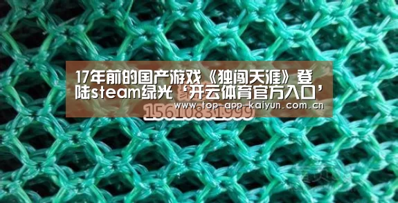 17年前的国产游戏《独闯天涯》登陆steam绿光‘开云体育官方入口’(图2) 开云体育移动端