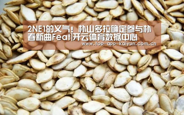 开云体育数据中心