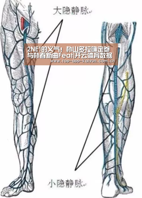 开云体育官方入口