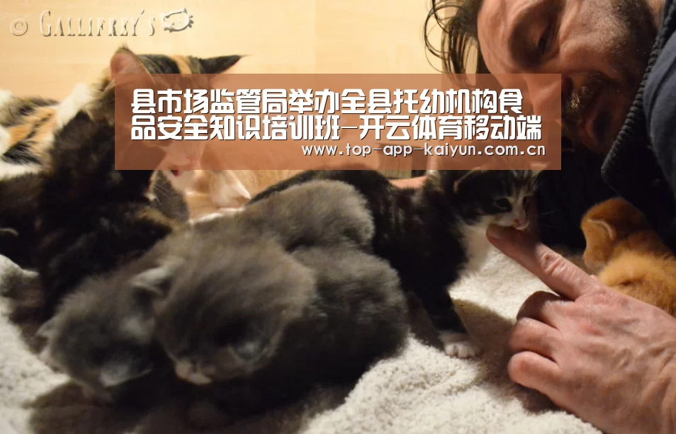 开云体育官方入口