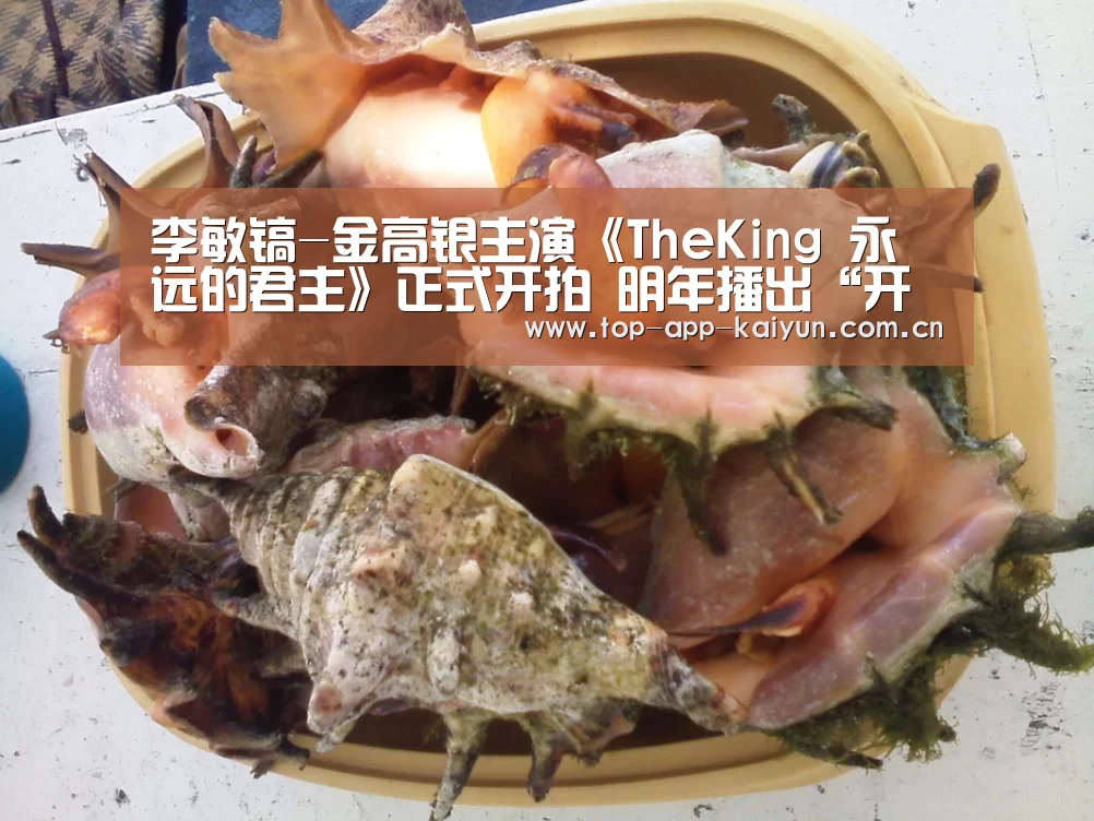 开云体育数据中心