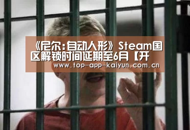 《尼尔:自动人形》Steam国区解锁时间延期至6月【开云体育官方入口】(图2) 开云体育移动端